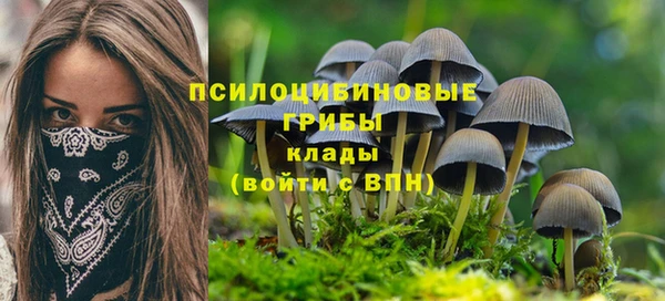 2c-b Аркадак
