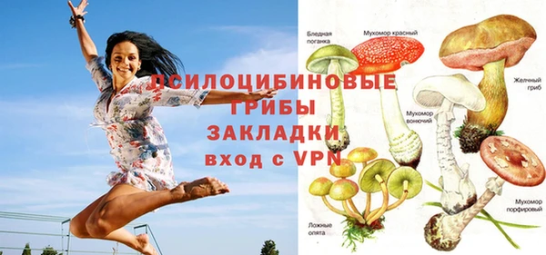 2c-b Аркадак