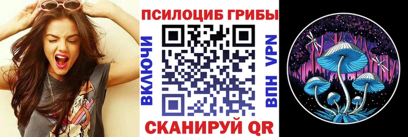 Галлюциногенные грибы Psilocybine cubensis  Маркс 