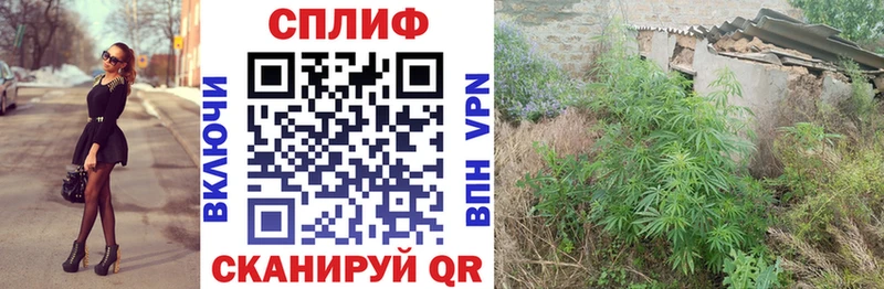 где найти наркотики  Маркс  Шишки марихуана VHQ 
